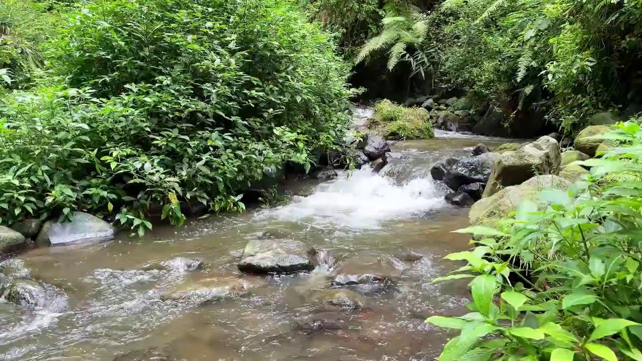 Calming river sound in peaceful forest air helping deep sleep stay long and comfortable