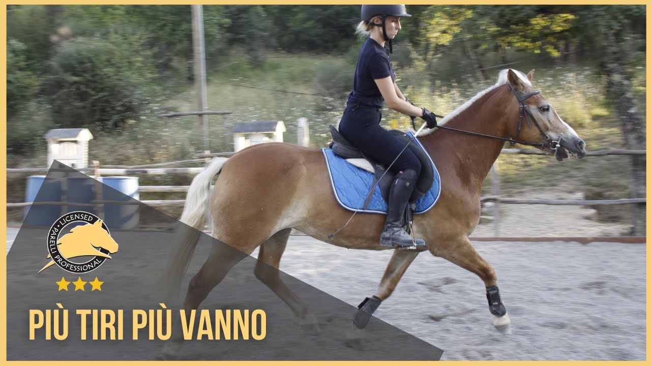 Più tiri le redini più vanno