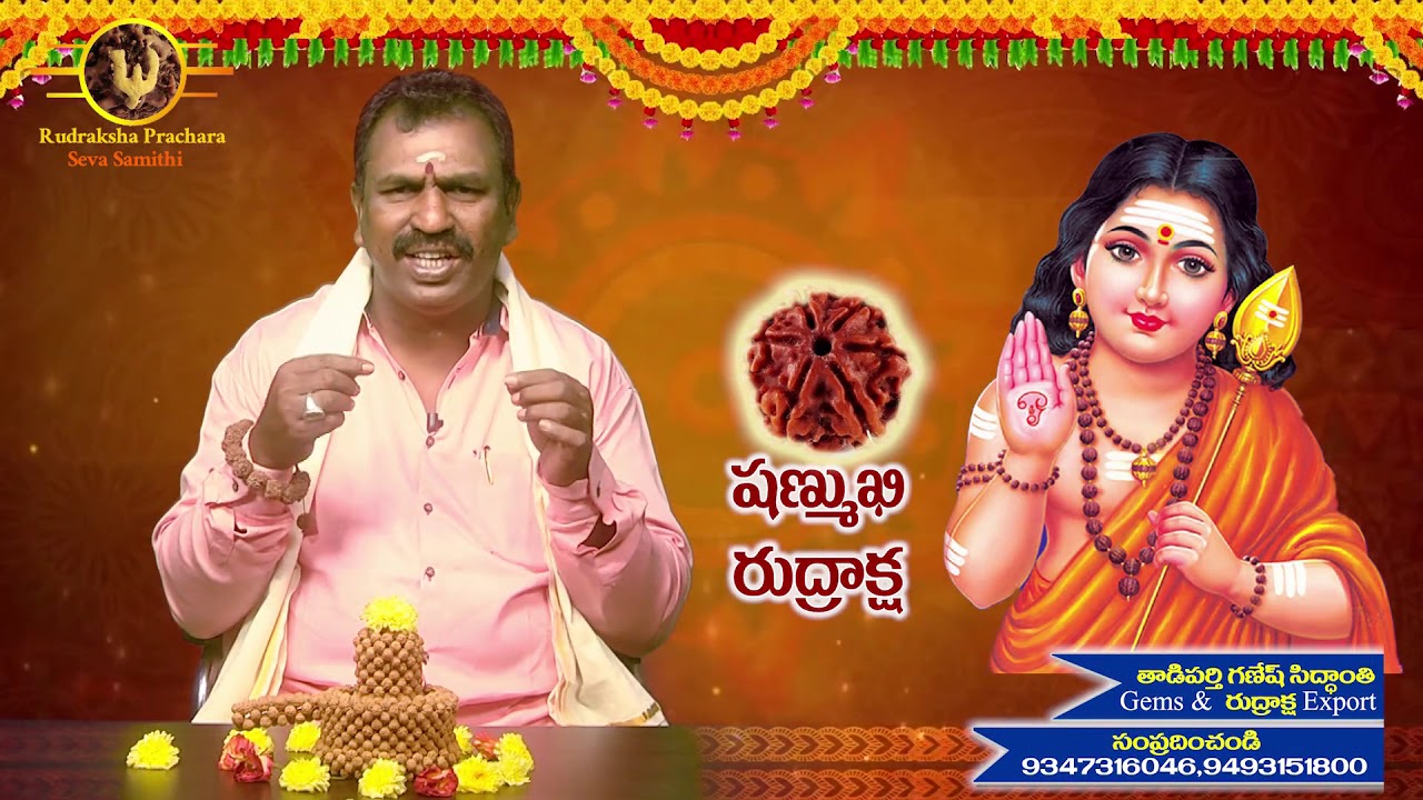 Six mukhhi rudraksha  telugu శుక్ర గ్రహం బలం తగ్గితే ఎలావుంటారు .....