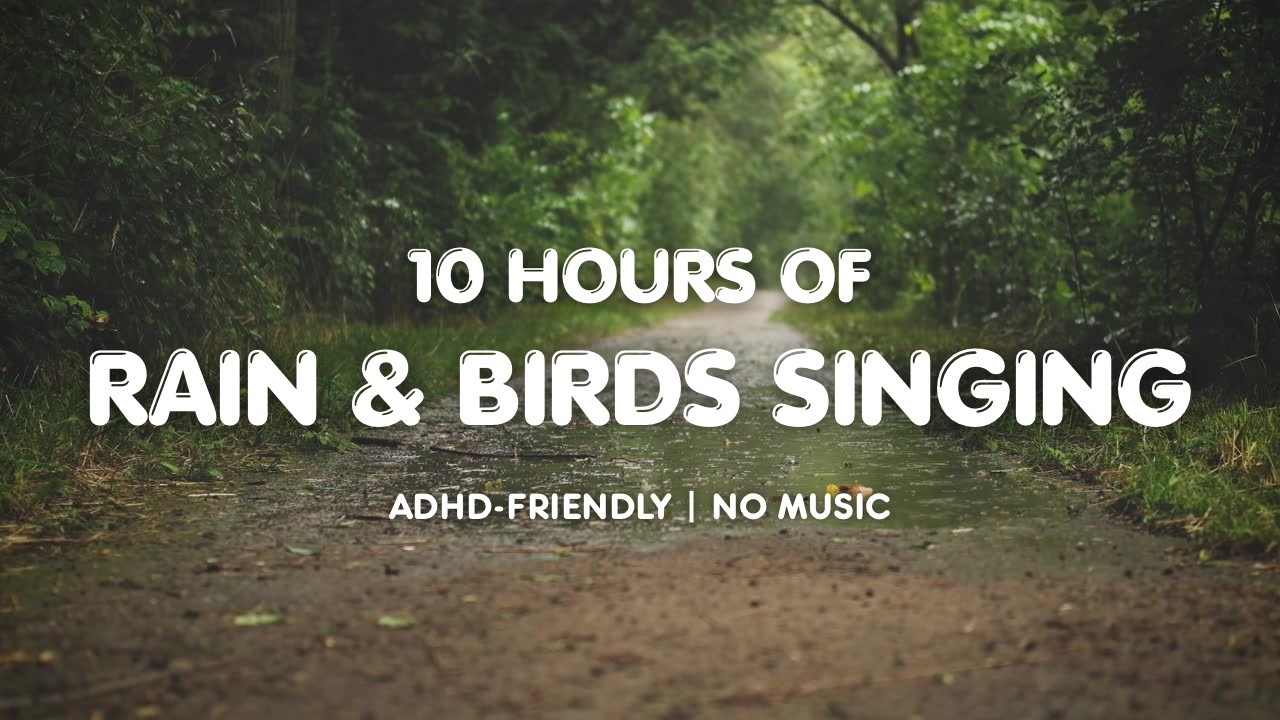 10 Hours of Rain Sounds & Birds Singing | Calm Focus Noise for ADHD (No Music)