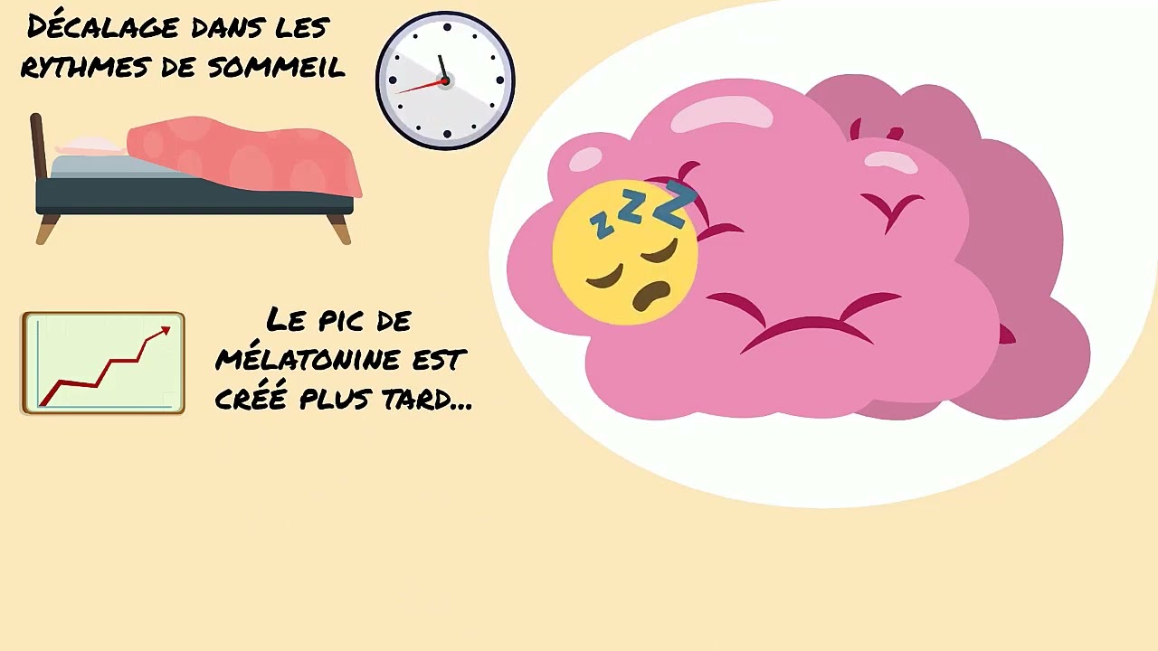 Transformations du cerveau pendant l'adolescence 2