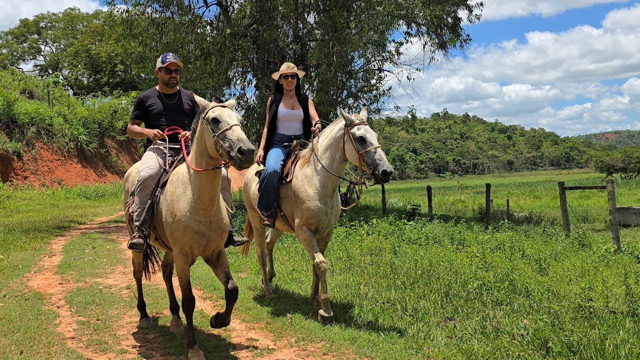 ✨️ FAZENDA CAMPANÁRIO 142,9751HA ✨️ VÍDEO AMONTADO NO CAVALO MOSTRANDO AS BAIXADAS 