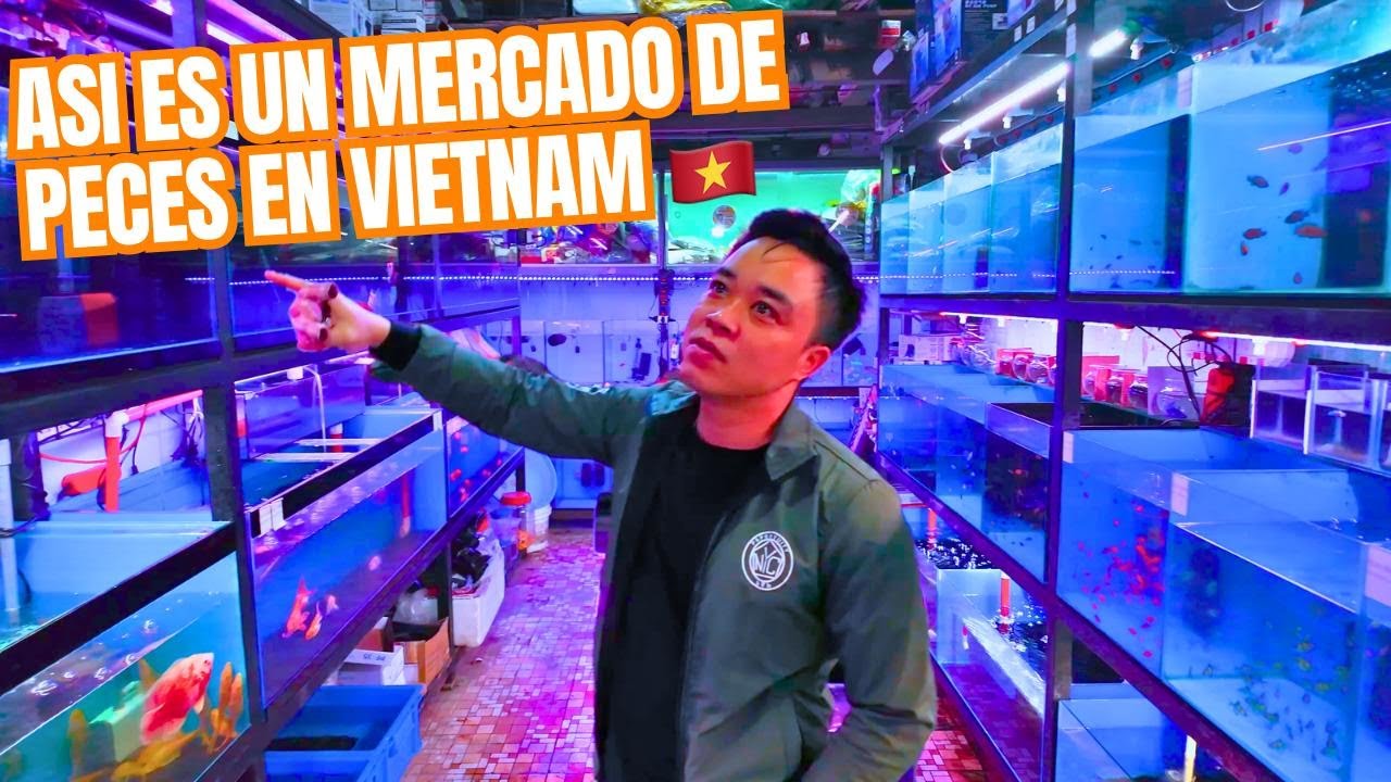 MERCADO DE PECES EN VIETNAM