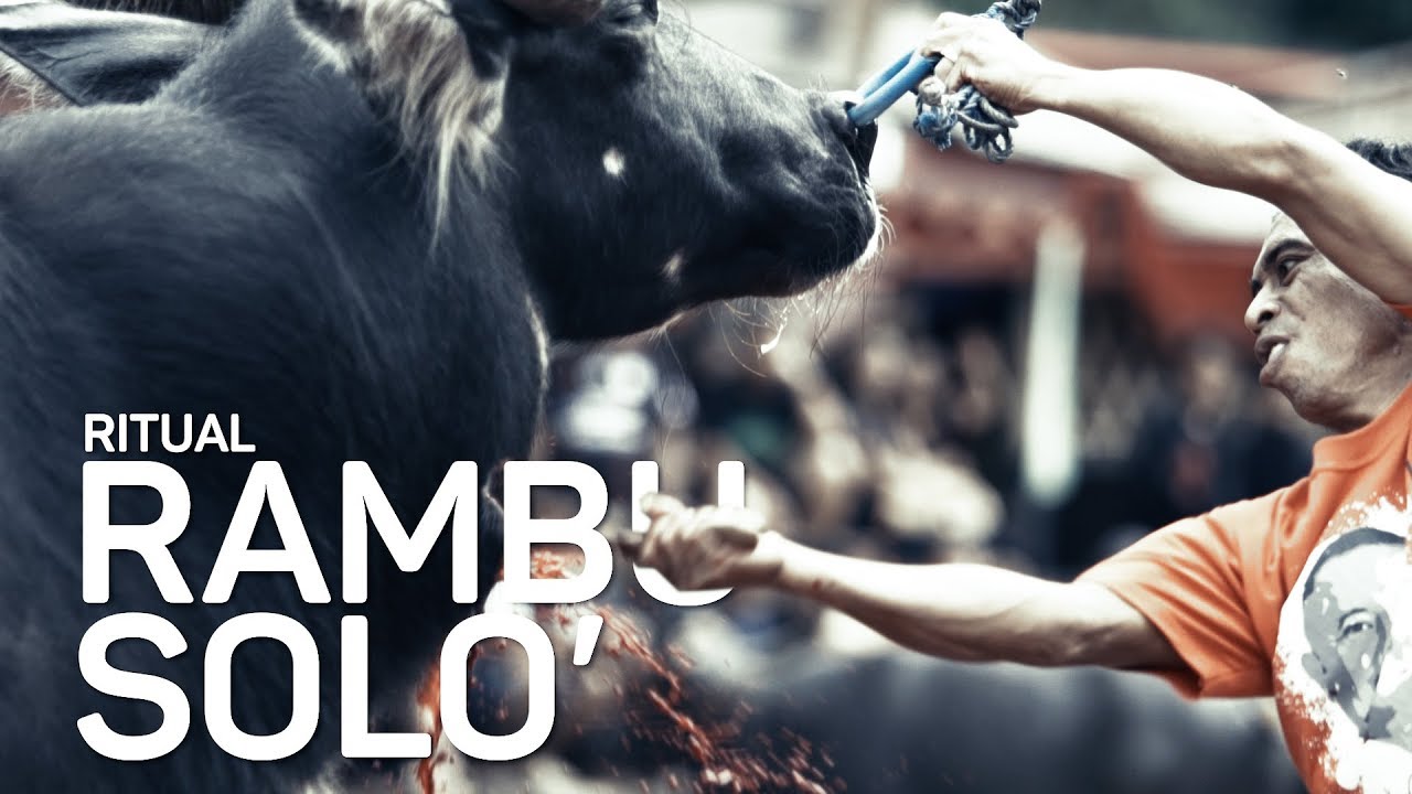 Rambu Solo' - Mengantar Jiwa Si Mati Orang Toraja | Ritual
