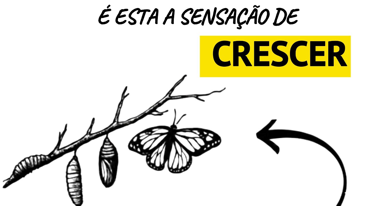 Sinais Claros de que Você Está Evoluindo na Vida Sem Nem Perceber #desenvolvimentopessoal #reflexão