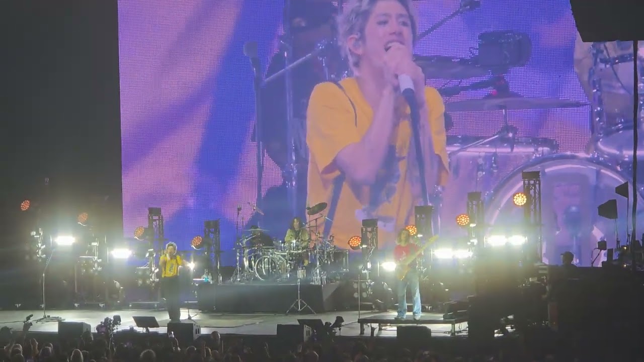 One Ok Rock kanzen kankaku dreamer [live Detox tour Budapest]