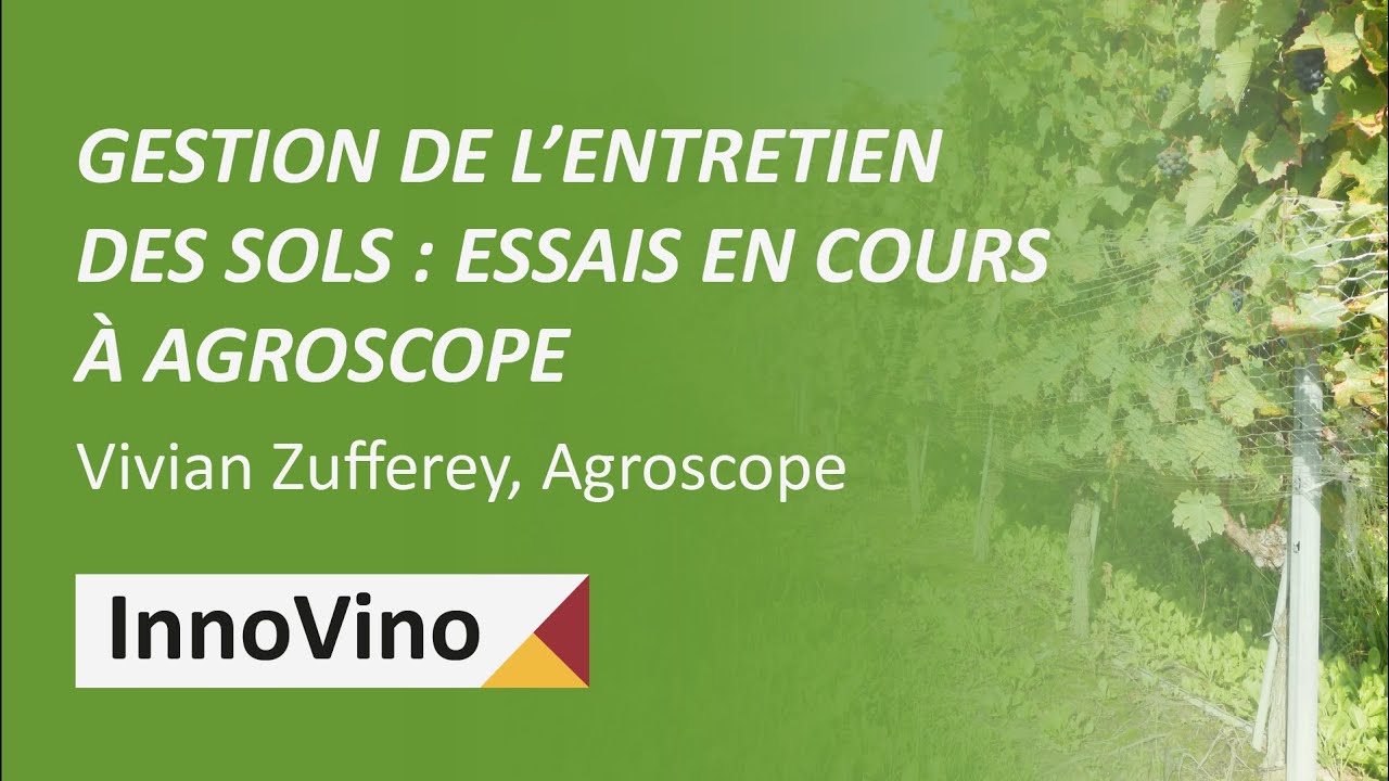 Gestion de l’entretien des sols : essais en cours à Agroscope - Vivian Zufferey, Agroscope