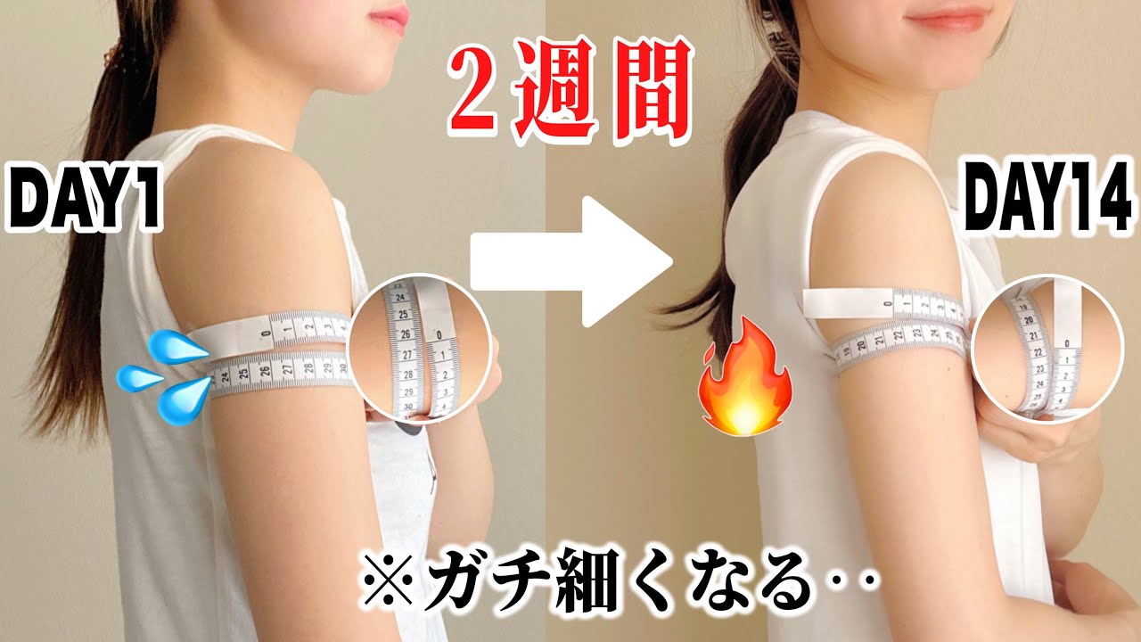 【二の腕痩せ】2週間で−4cm！！たった6分。座ったまま確実に細く引き締まる👹slim arms