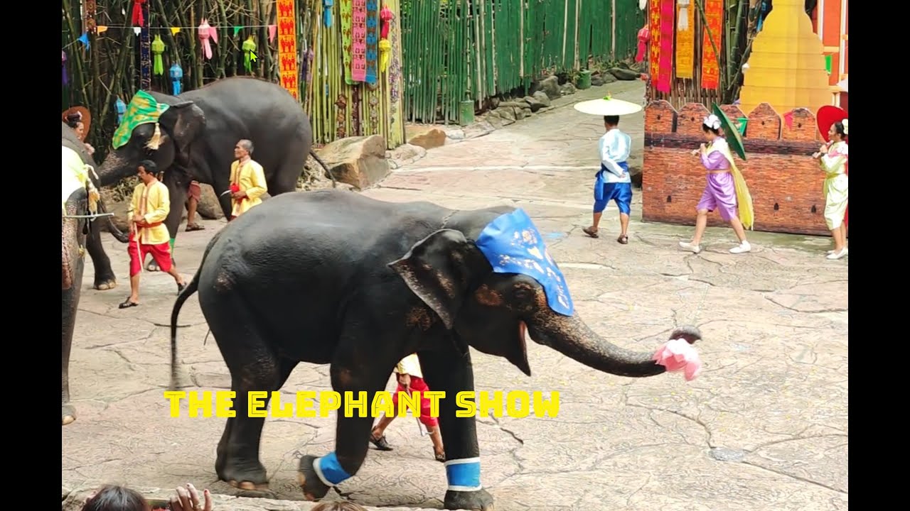 The Elephant Show Safari World, Bangkok