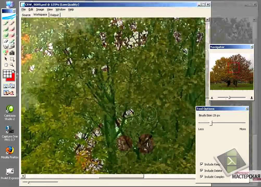 Плагин Vertus Fluid Mask 3.2.3.8537 rus, вырезание сложных объектов