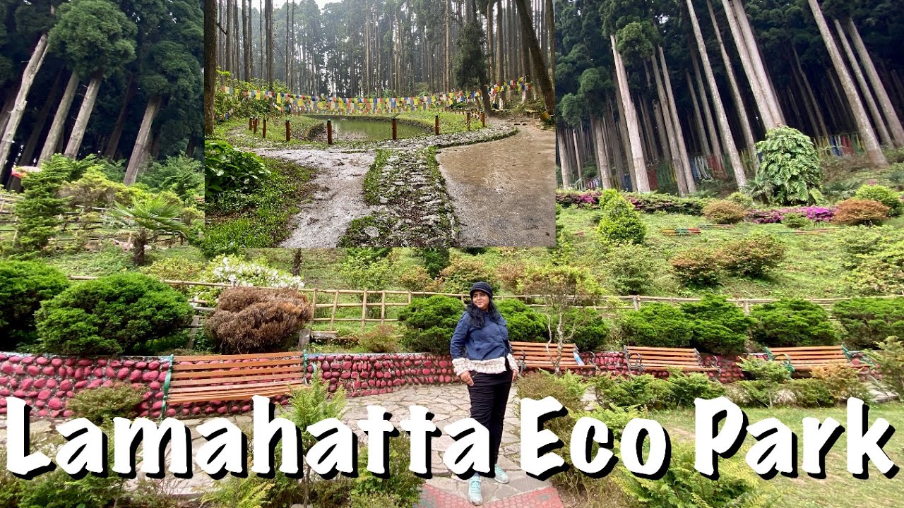 Lamahatta Eco Park Vlog | Trek to Jorpokhri in Lamahatta Eco Park | Lamahatta Pine Forest Trek