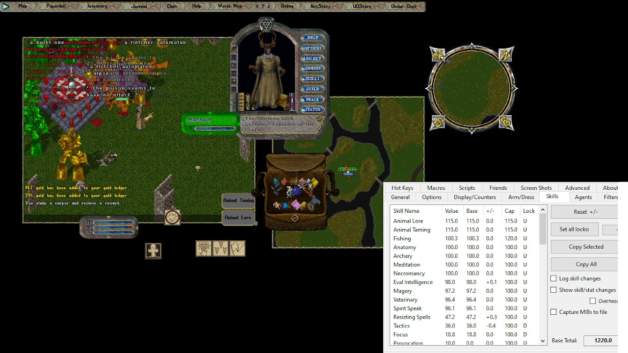 GM Tamer Ultima Online Solo Champ Spawn