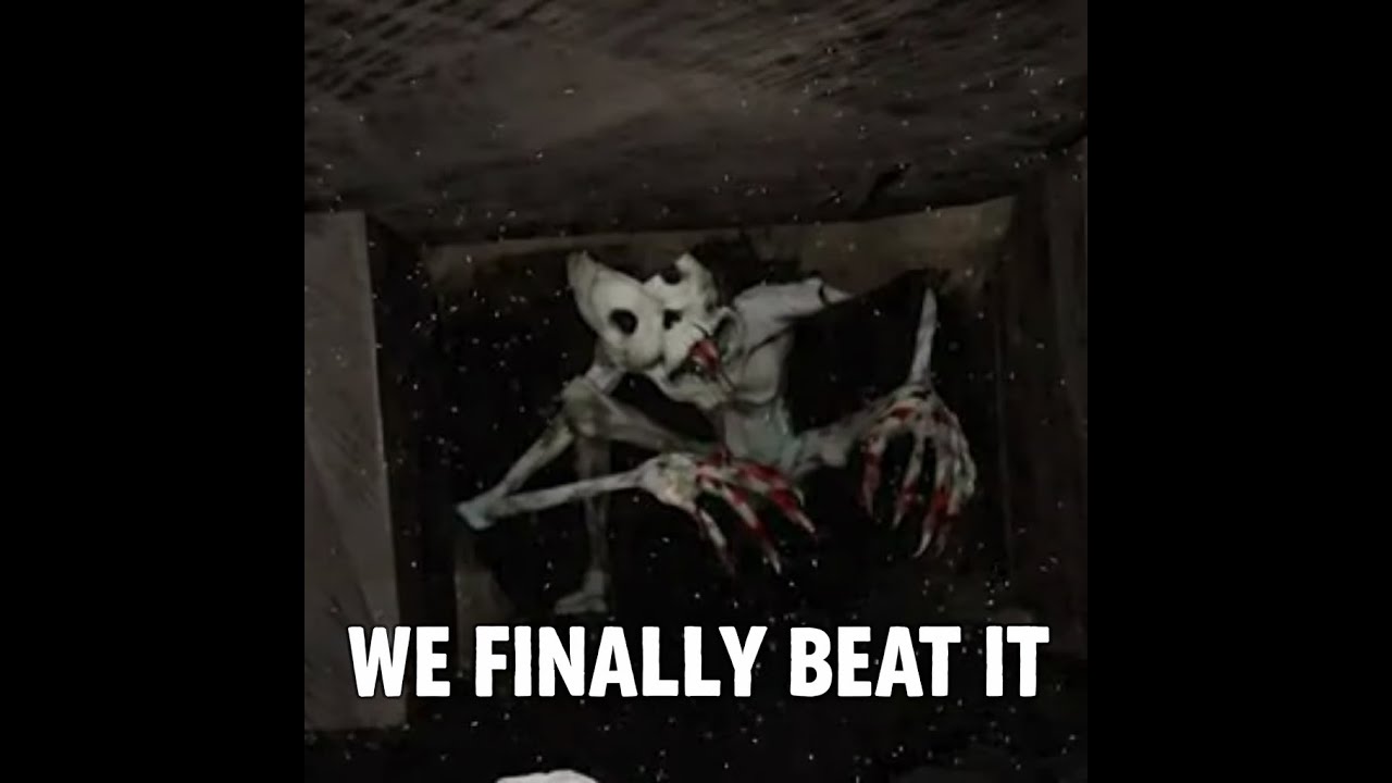 We Did it