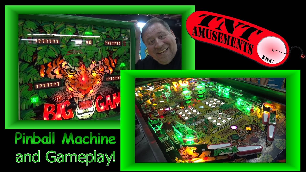#1139 Stern BIG GAME Pinball Machine & the clever Game Play! TNT Amusements