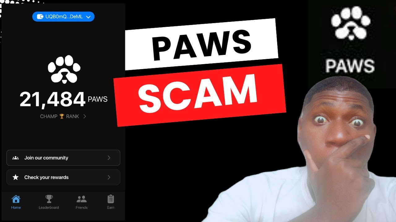 BIG REVELATION ABOUT PAWS AIRDROP | SCAM OR LEGIT