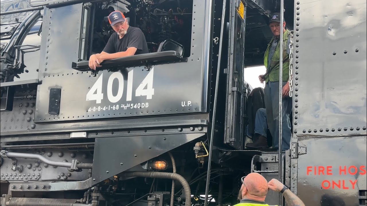 Big Big 4014 Up Close View of Elephant Ears at Cheyenne Depot