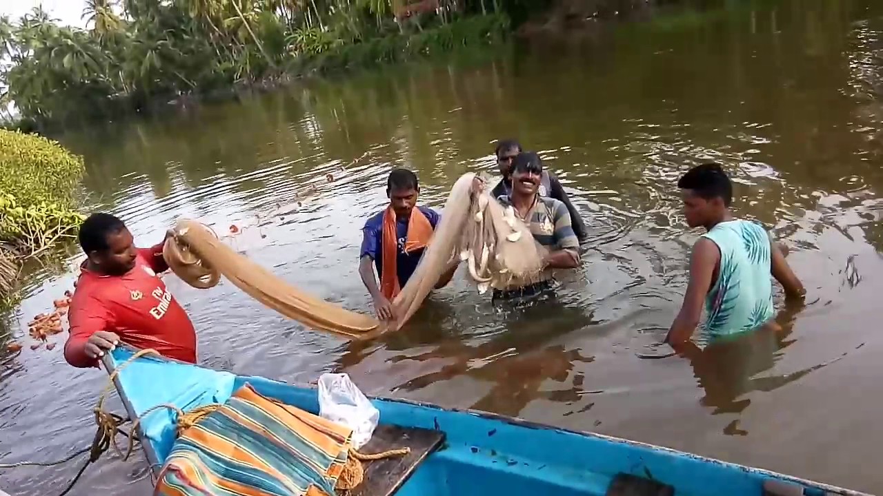 Traditional river fishing in Udupi..