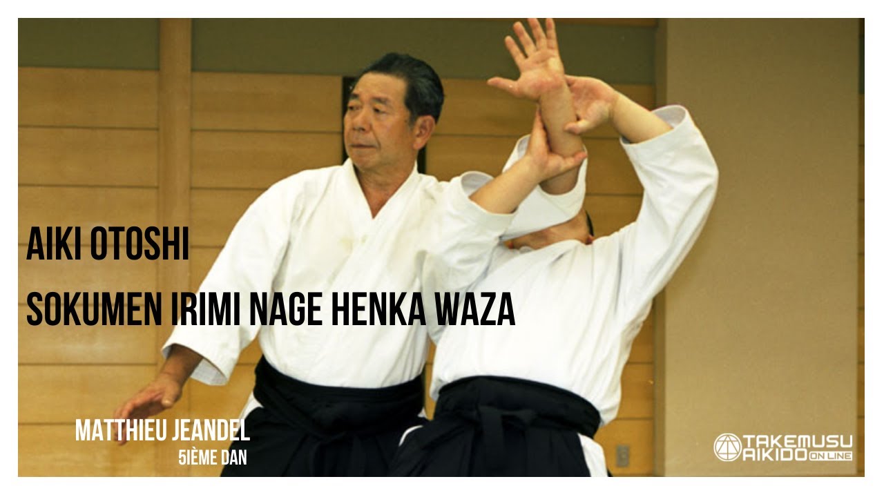 Aiki Otoshi - Sokumen Irimi Nage Henka Waza - Matthieu Jeandel - 5ième Dan