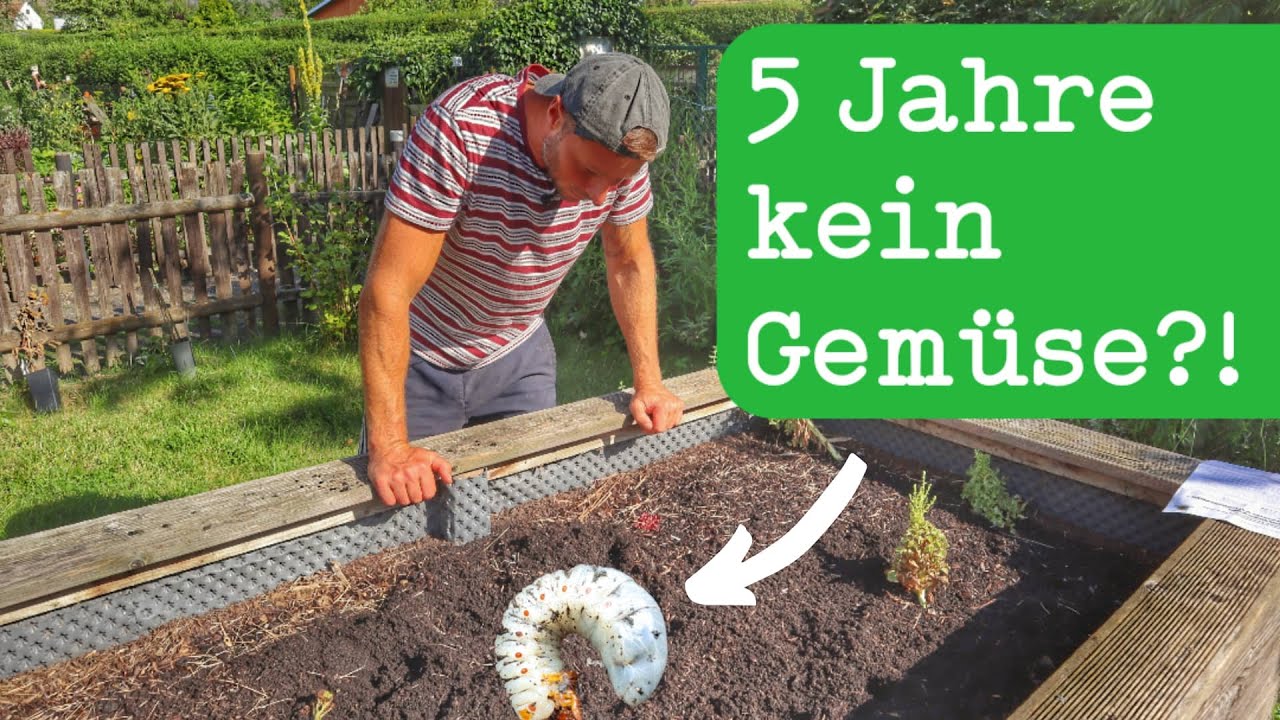 Hochbeet ZERST&Ouml;RT: Engerlinge fressen ALLES