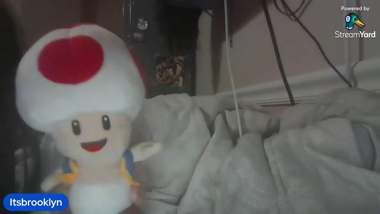 toad and friends live