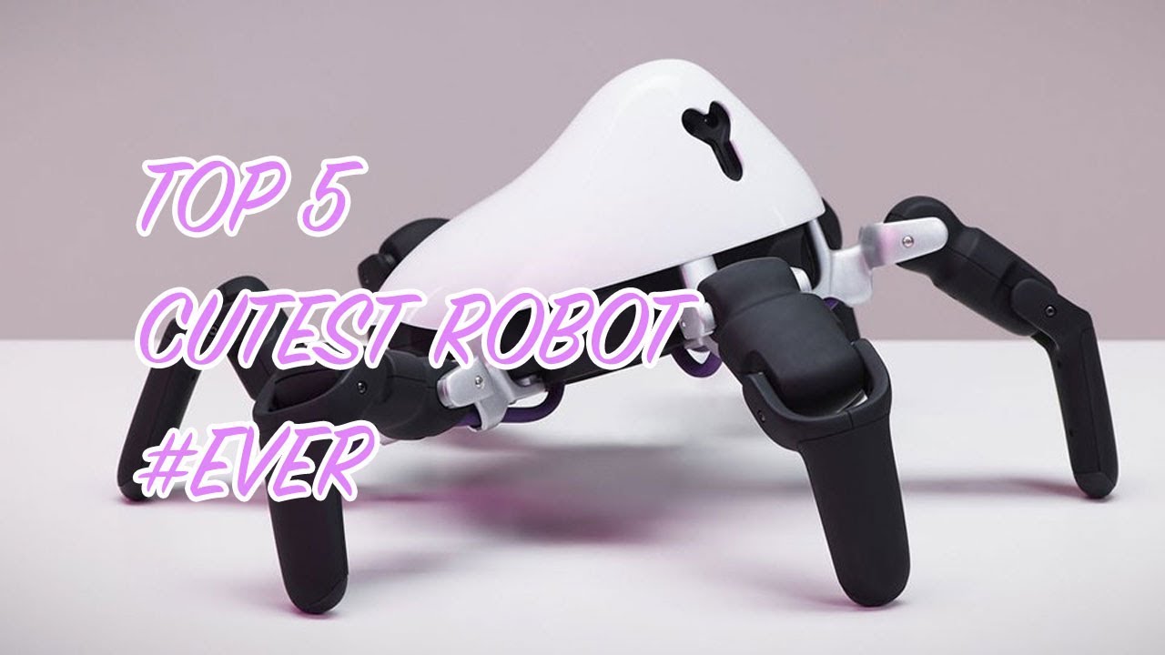 Top 5 Cutest Robots Arduino