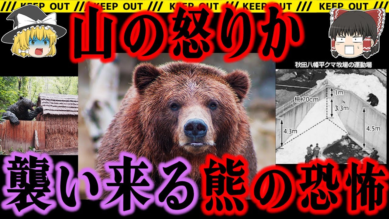 クマに襲われる人々！その獲物への執念からは逃れられない…【クマ獣害事件　総集編】