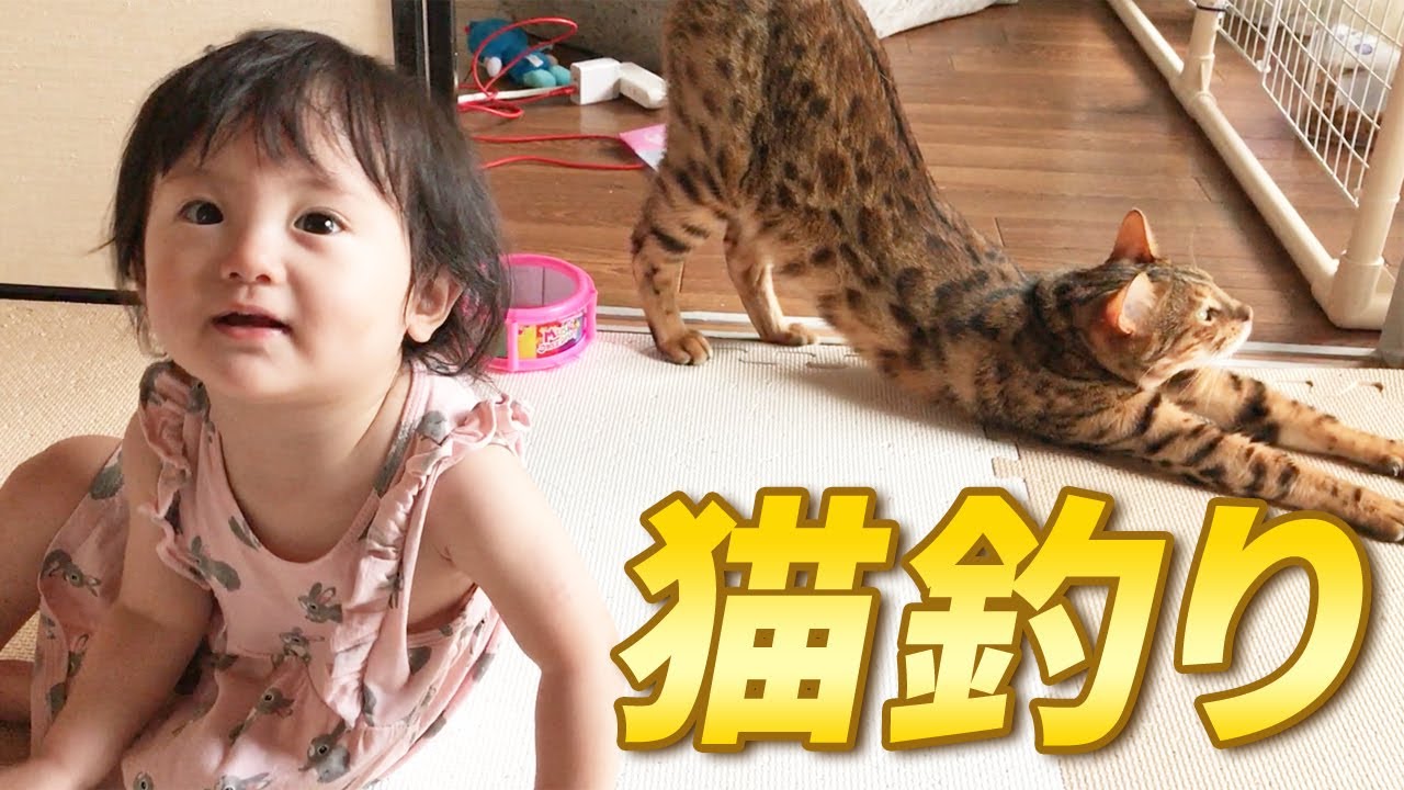 猫釣りをする赤ちゃん娘