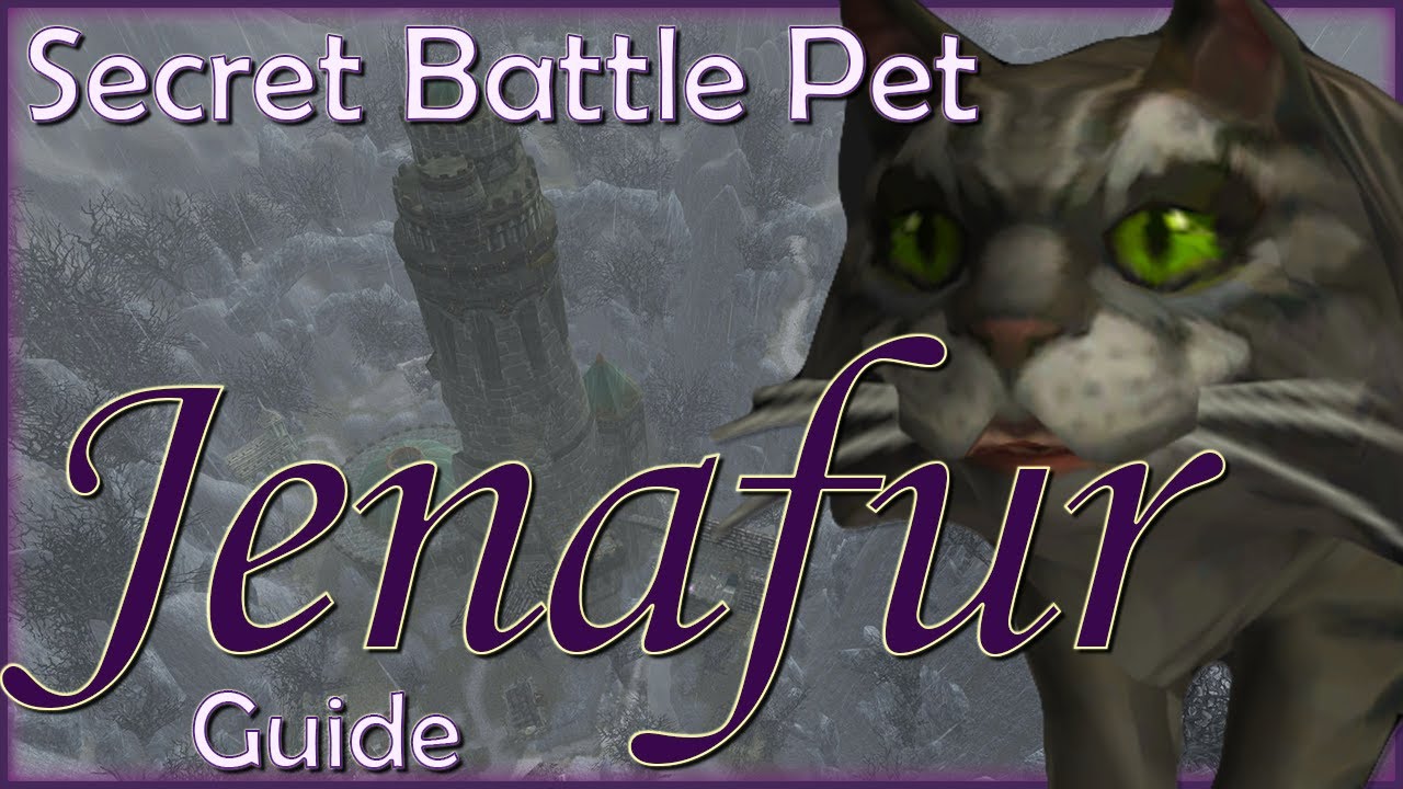 Secret Battle Pet Jenafur Guide