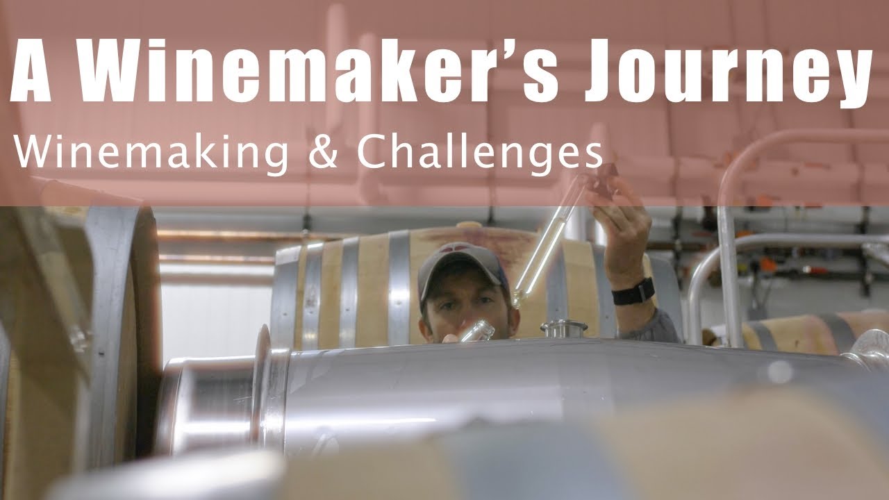 Terratorium's Harvest In the Winery: Crafting Authentic Wines, From Grape to Glass