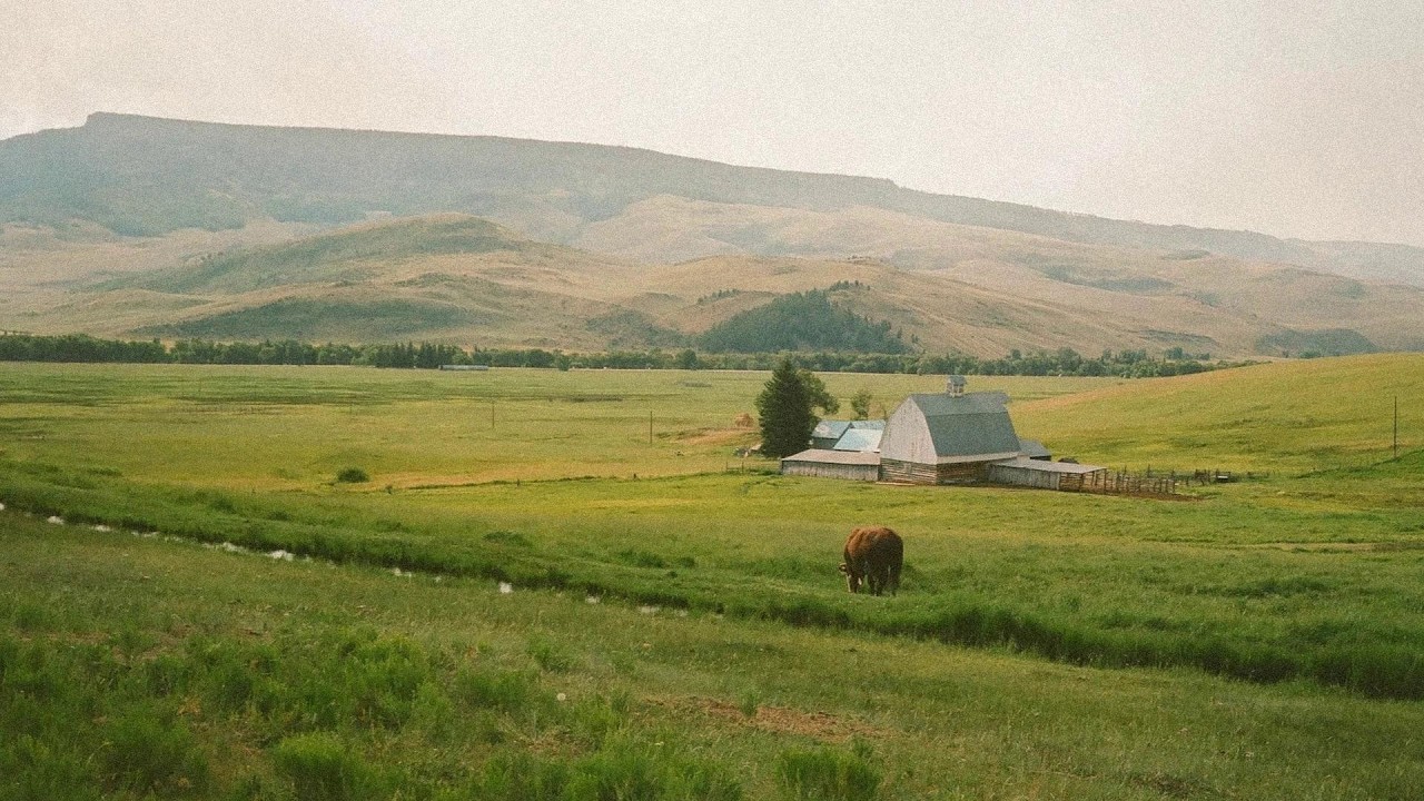 peaceful piano music for relaxation, reading & slow mornings ✨