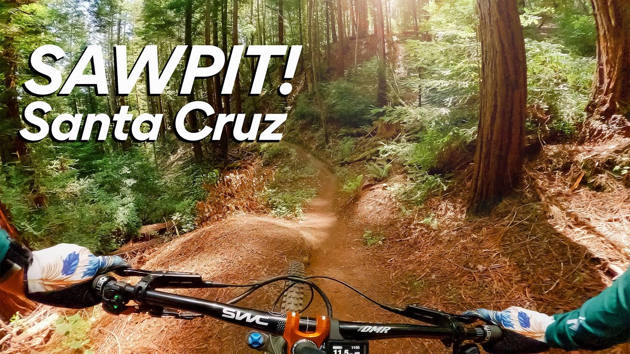 Sawpit MTB Trail Preview: What to Expect at Soquel Demo Forest!