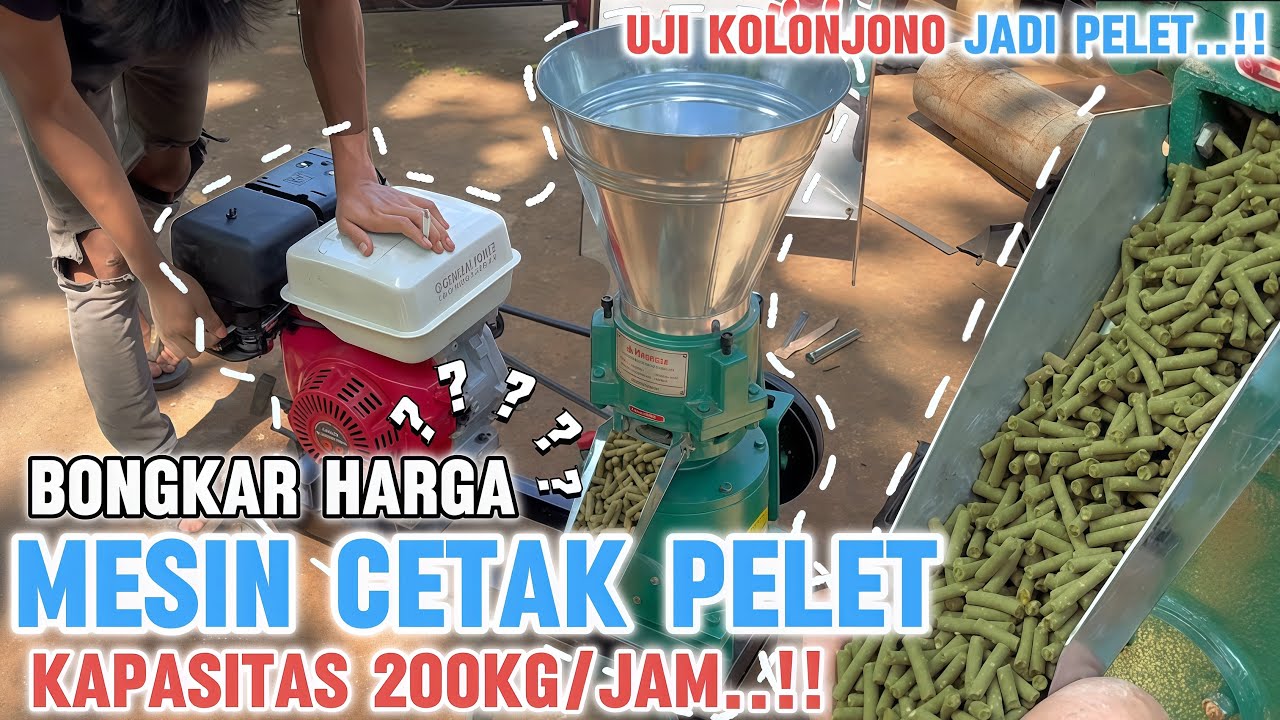 Rahasia terbongkar..!! MESIN CETAK PELET ini sangat murah..!! Kapasitas besar kolonjono jadi pelet