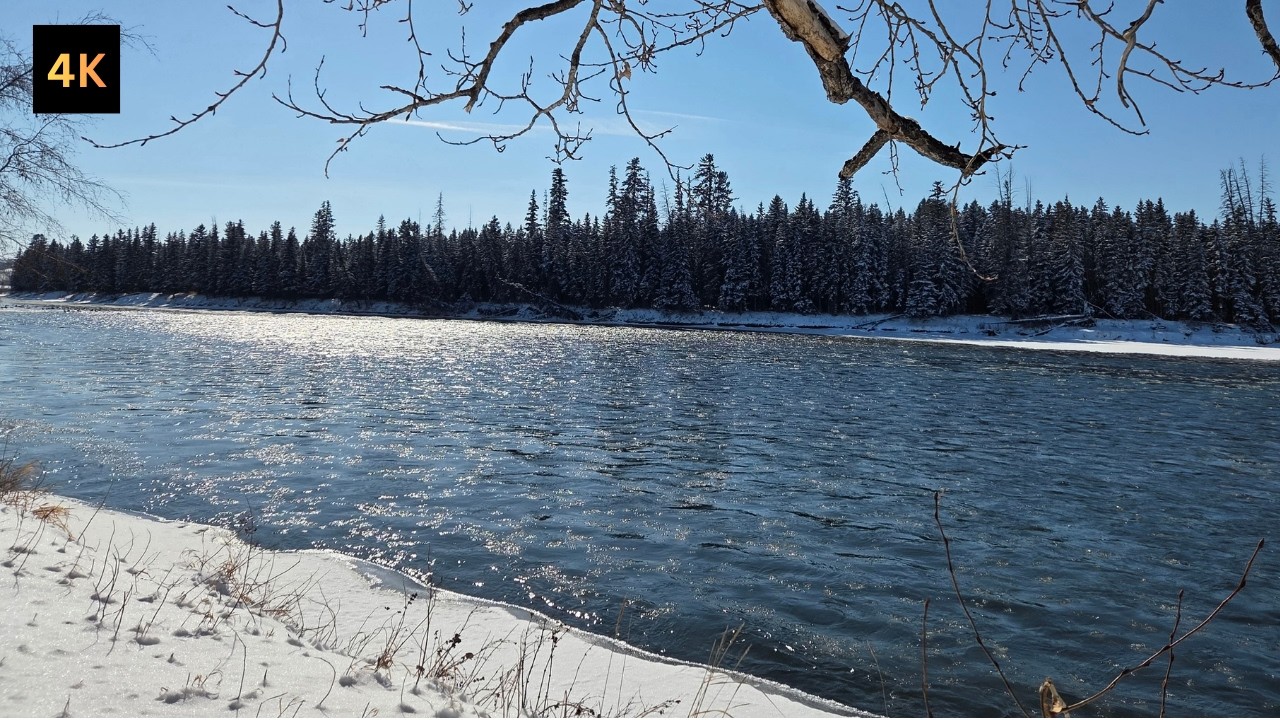 Winter River Sounds 4K | Flowing Water & Ice Ambience | No Talking