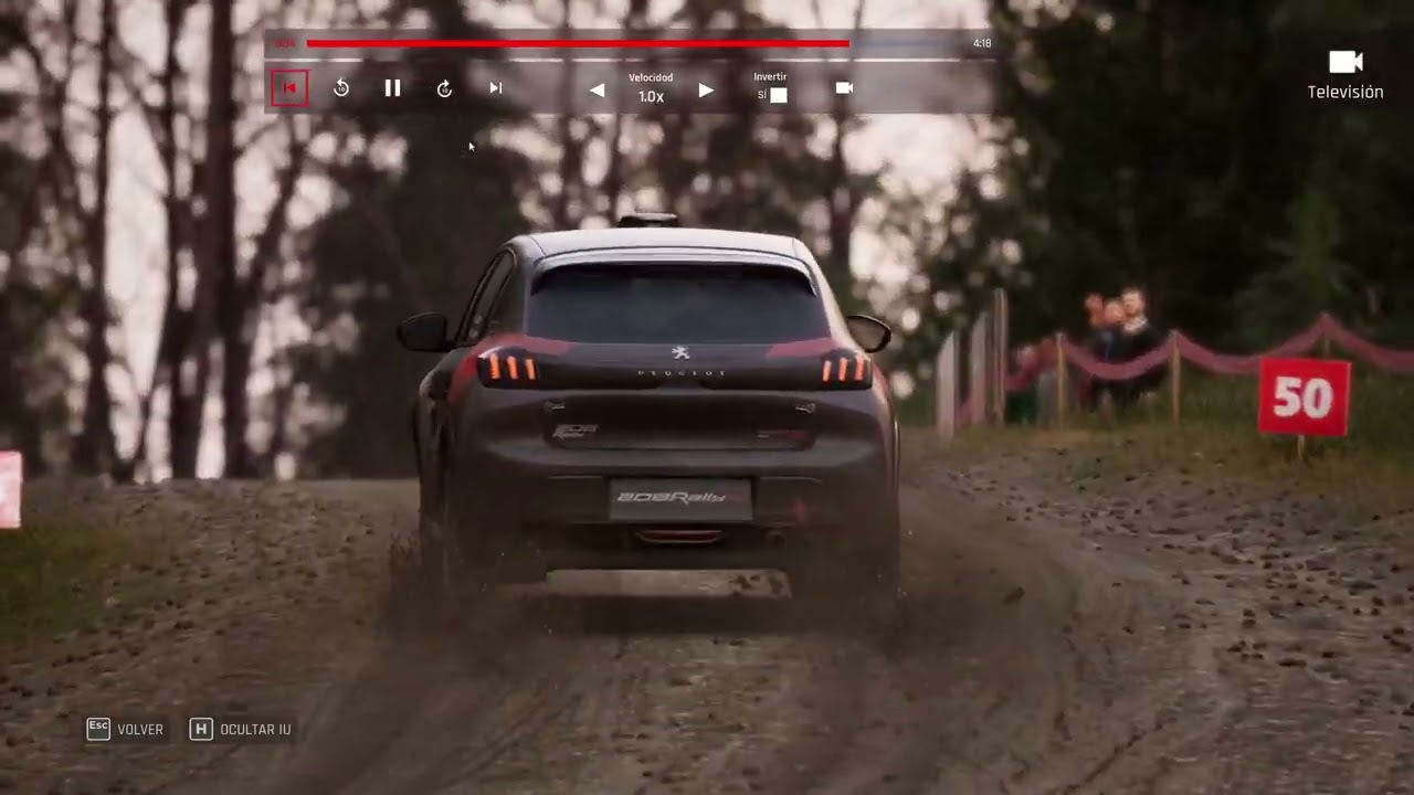 my best moment in rally in january