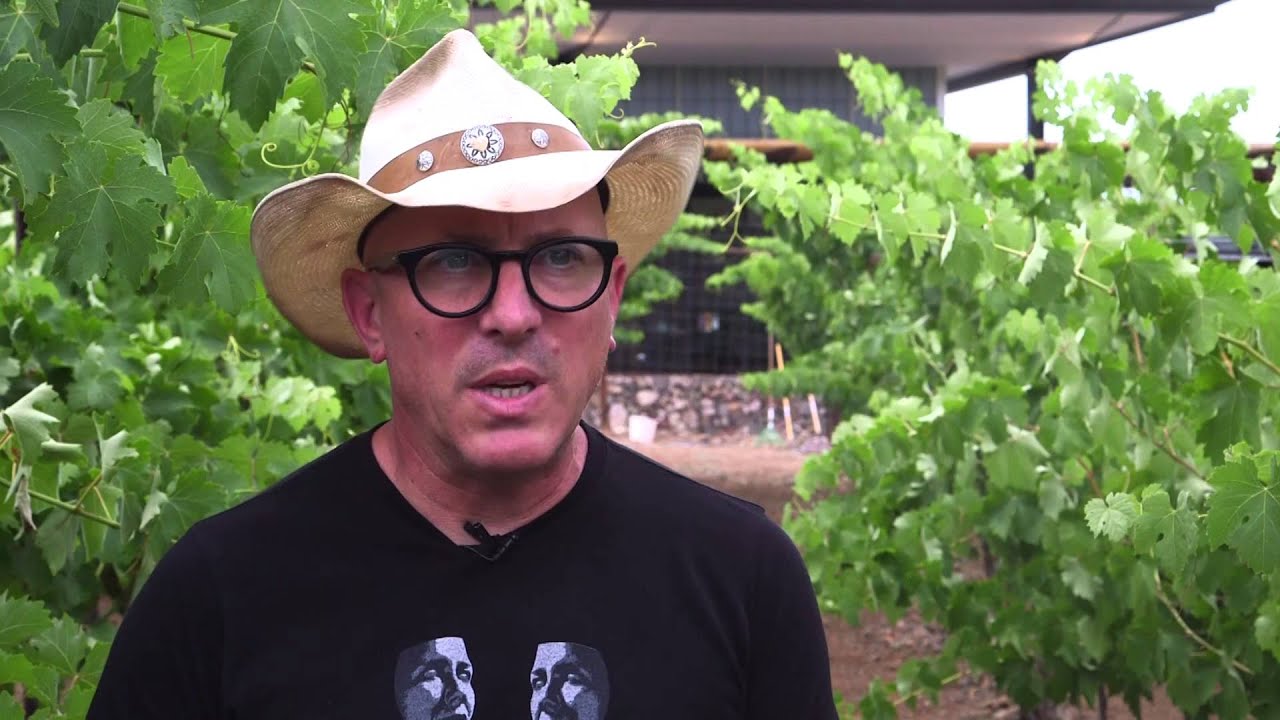Maynard James Keenan talks about nurturing competition among Arizona winemakers