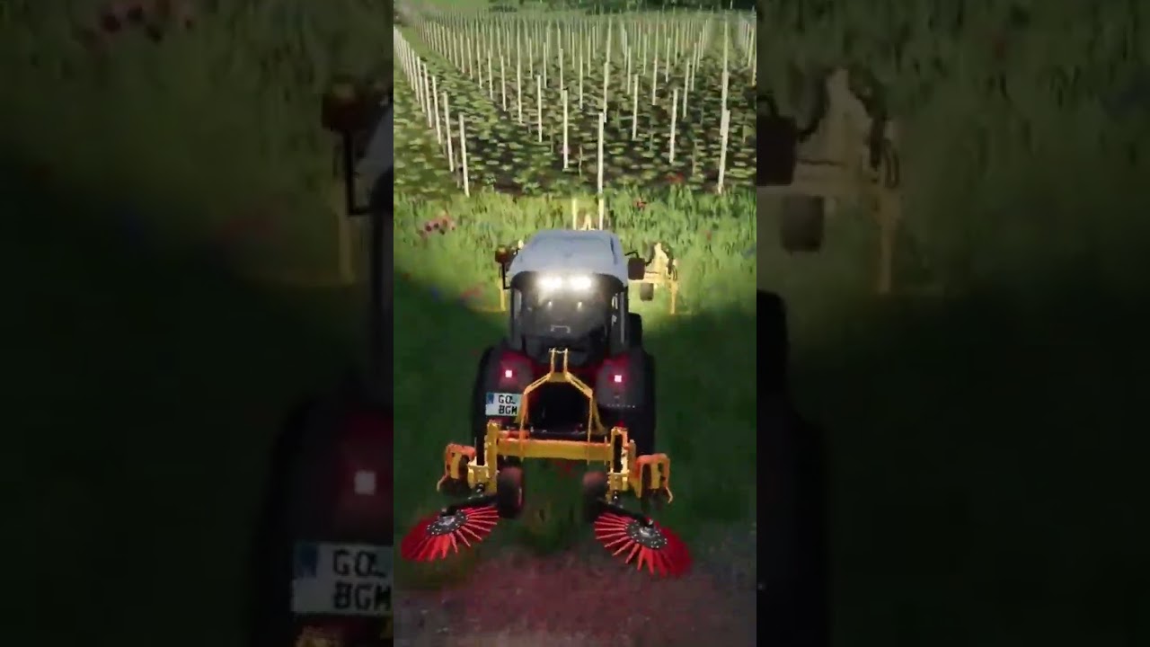 #wineyard