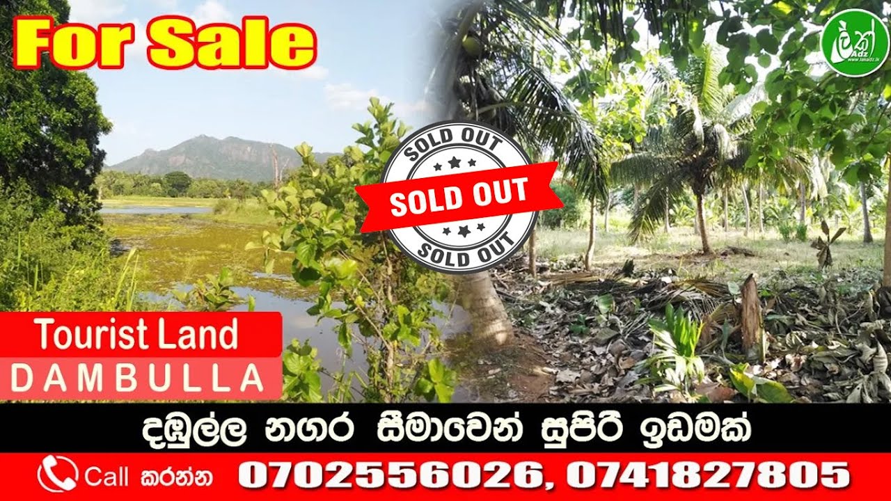 440 Perches from Dambulla Tourist Zone - Call: 0702556026, 0741827805 - LAK ADS