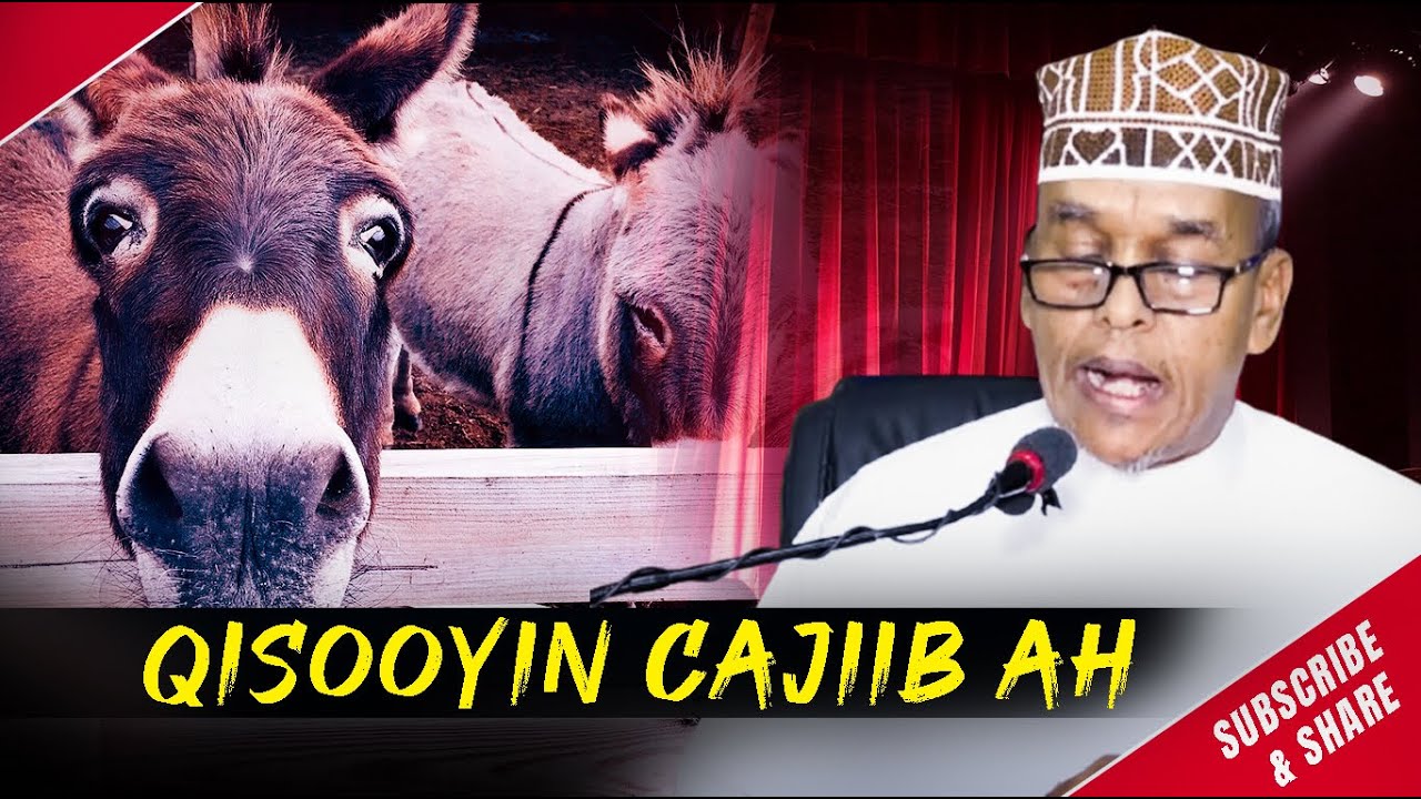 Sh Maxamed Ismaaciil 2020 | Qisooyinkii Ugu Cajiibsanaa Sixir Ee Sh Maxamed Soo Maray