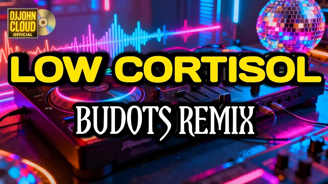 Low Cortisol BUDOTS REMIX! | High Energy Disco Mix 2026
