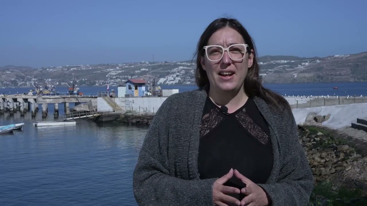 Ecopaneles concha moluscos - Proyectos difusión CTCI DITT UCN