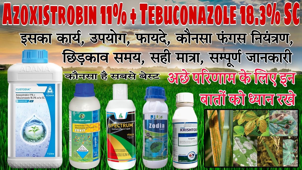 Azoxystrobin 11% + Tebuconazole 18.3% SC || adama Custodia || Zoxit || Azoxistrobin use in hindi