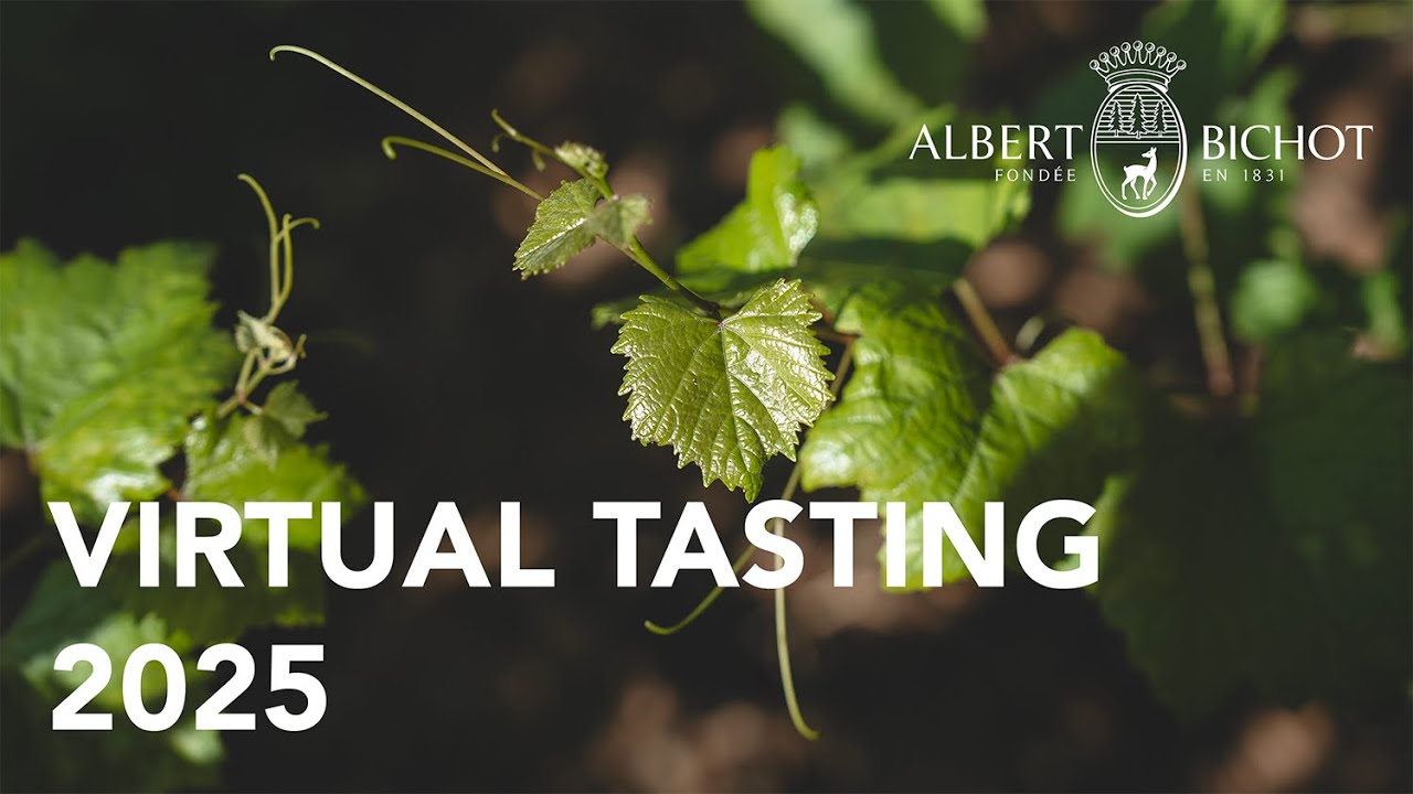 Burgundy Virtual Tasting 2025 by Albert Bichot