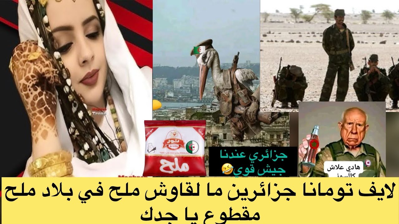 لايف تومانا بنت سالك هيا كتسولهم علاش ملح مقطوع في دزاير وهما قولو ليها عندنا جيش قوي 🤣