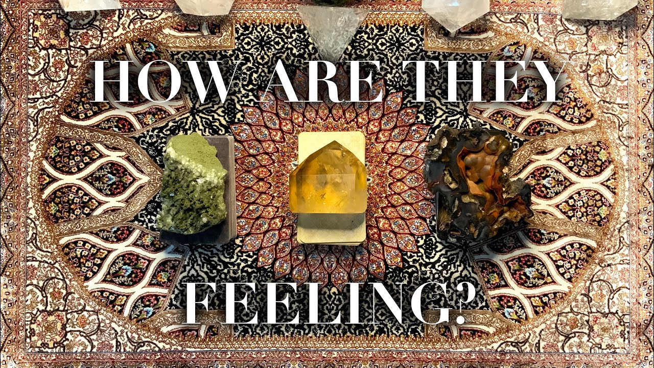 💘🏹✨How are they FEELING for YOU NOW? 💕Pick a Card Tarot Love Reading Timeless✨🏹💘