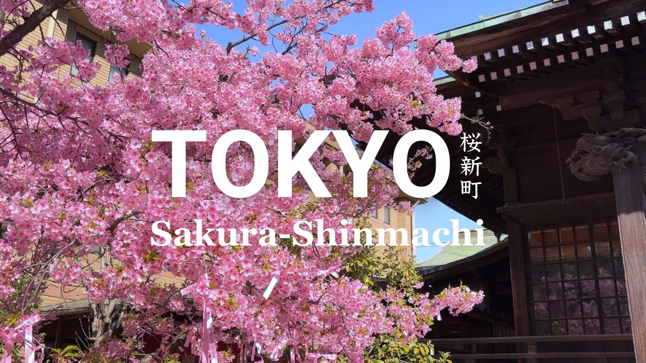 Sakura-Shinmachi Neighborhood Walk in Tokyo | Cherry Blossom, Cafe Hopping, Wagashi & Japanese Lunch