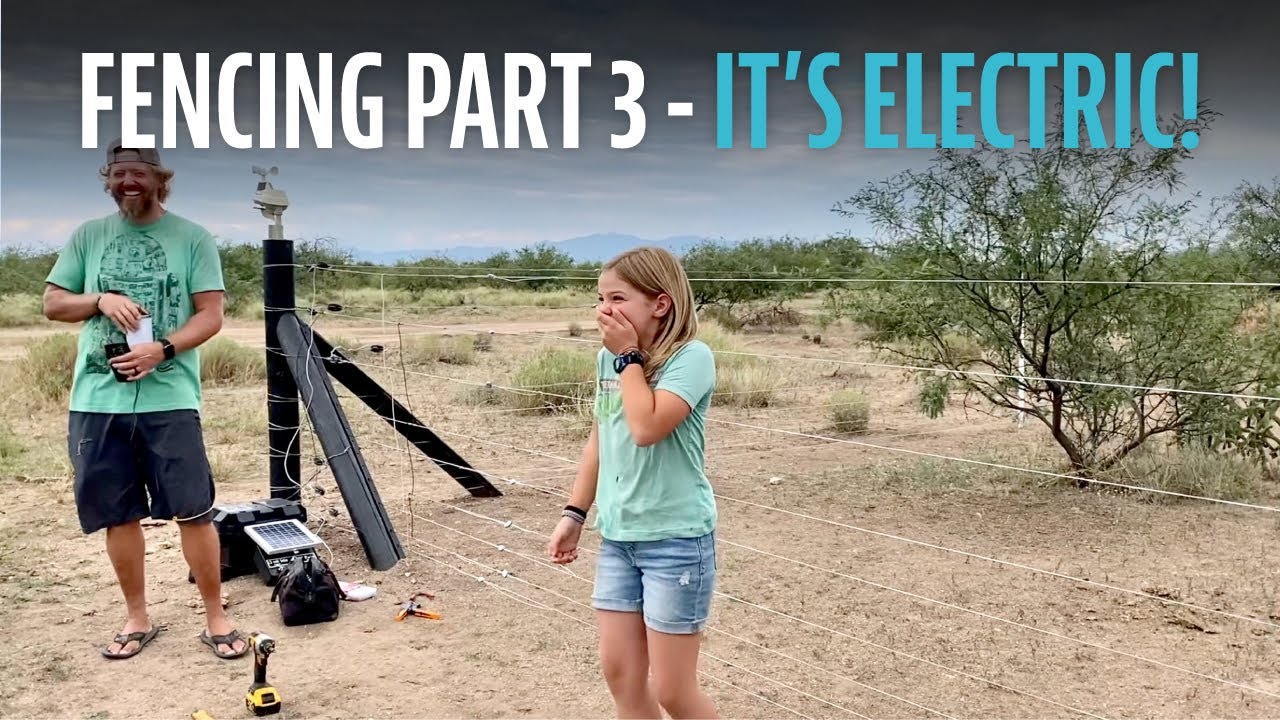 Ограждение, часть 3. Это ЭЛЕКТРИЧЕСТВО. Электрифицируем нашу вневременную систему ограждений.