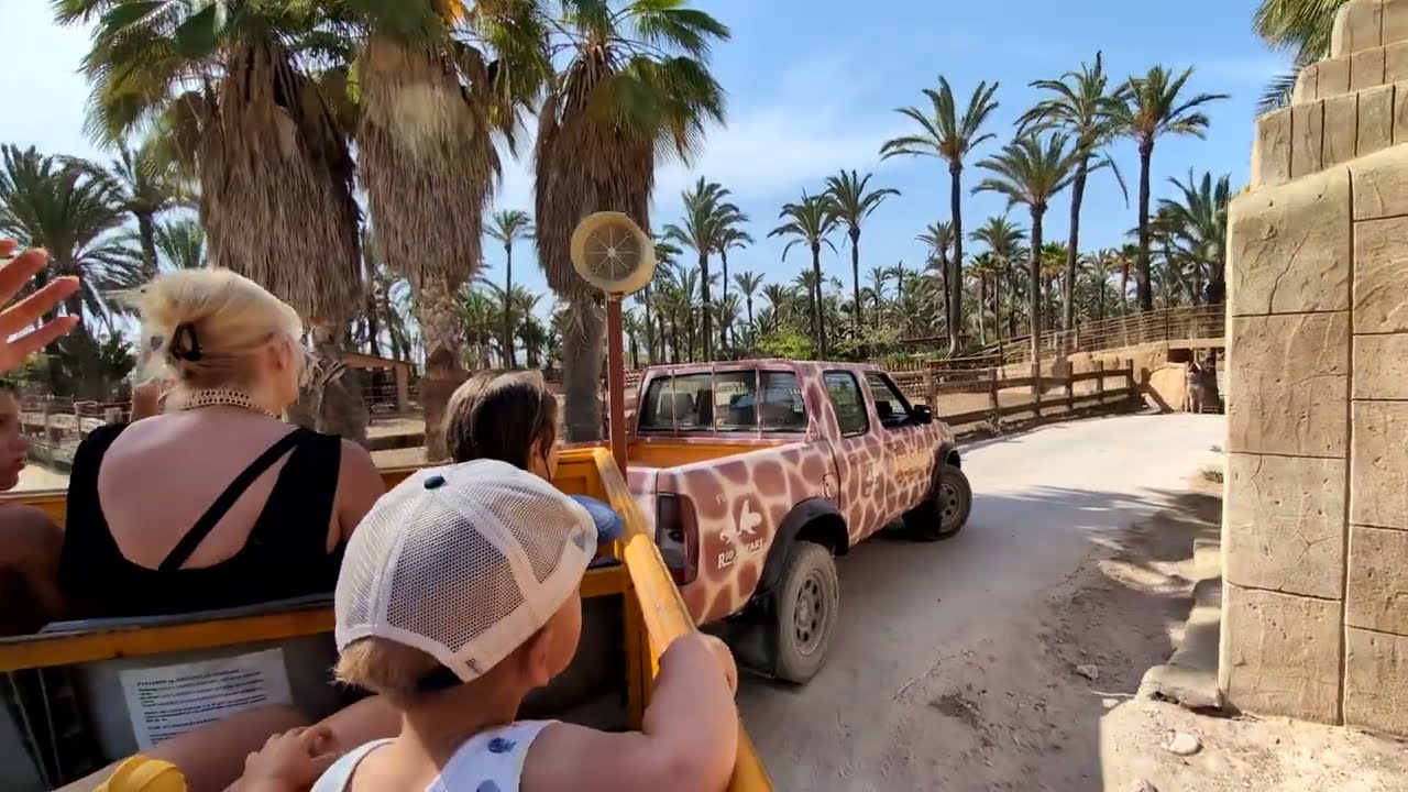 Paul & Lynsey's Zoo Tour - Road Train at Rio Safari Elche