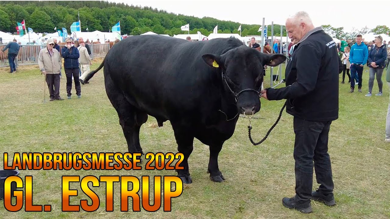 Gammel Estrup Landbrugs messe 2022