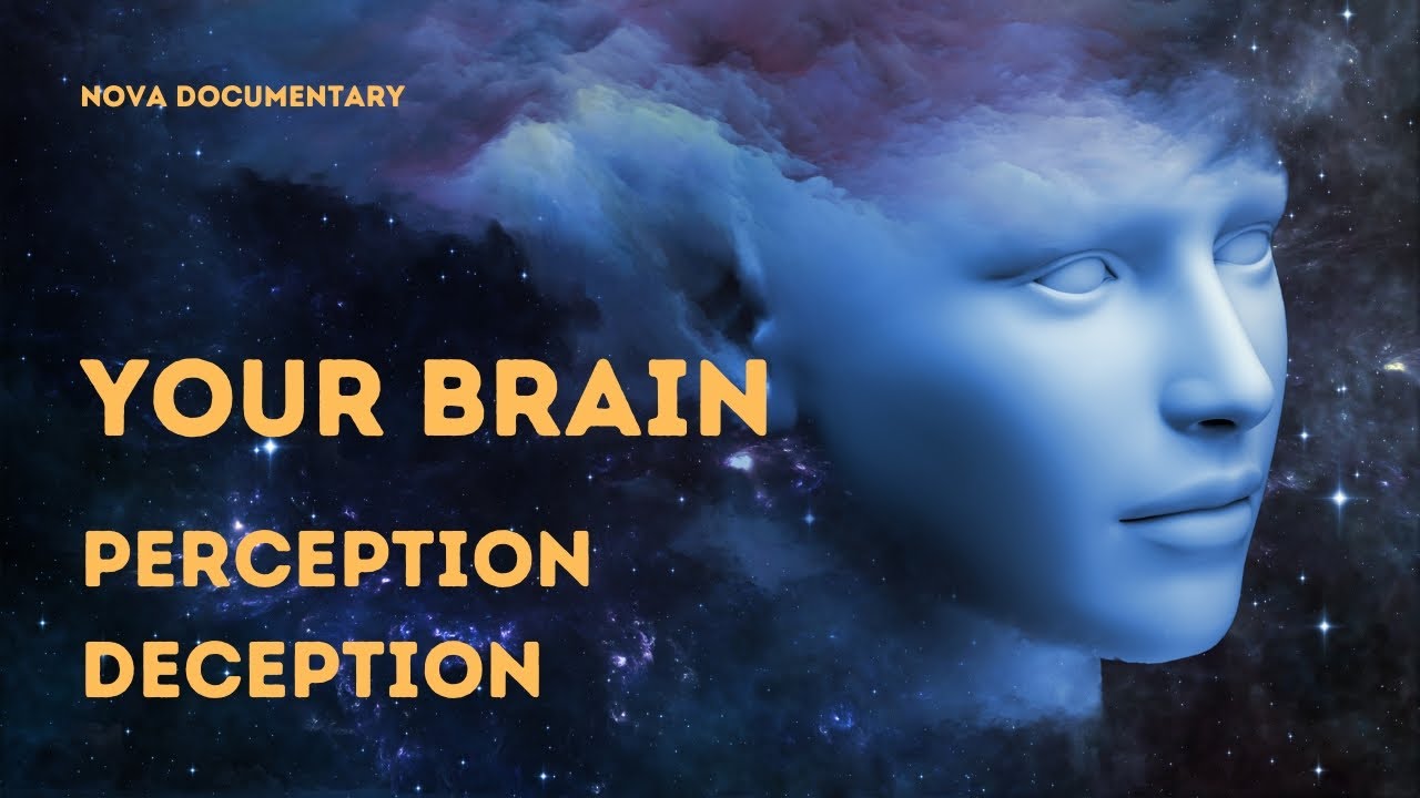 The Hidden Illusions of Your Mind: Understanding Perception Deception | NOVA Documentary