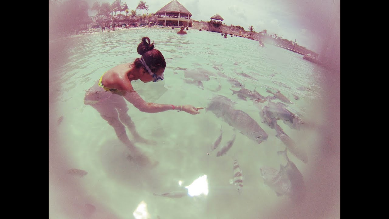 Mexico|Riviera Maya|Occidental Grand Xcaret|2013